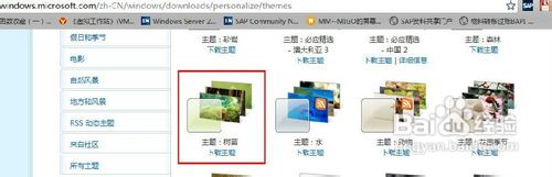 装机达人w7系统替换主题的操作方法